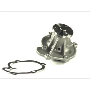 Pompe à eau THERMOTEC D11052TT pas cher