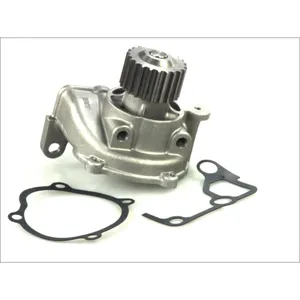 Pompe à eau THERMOTEC D13008TT pas cher