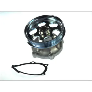 Pompe à eau THERMOTEC D12071TT pas cher