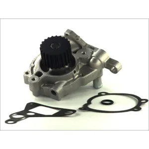 Pompe à eau THERMOTEC D13029TT pas cher