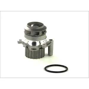 Pompe à eau THERMOTEC D1A023TT pas cher