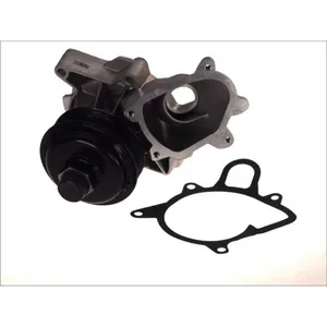 Pompe à eau THERMOTEC D1B030TT pas cher