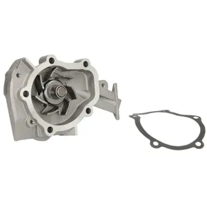 Pompe à eau THERMOTEC D10001TT pas cher