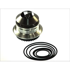 Pompe à eau THERMOTEC D1W051TT pas cher