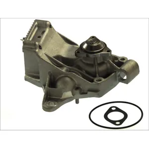 Pompe à eau THERMOTEC D1R042TT pas cher