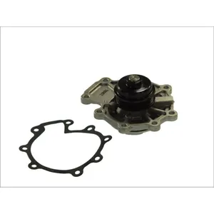 Pompe à eau THERMOTEC D1G015TT pas cher