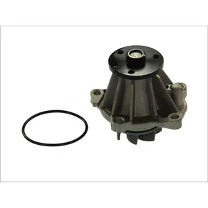 Pompe à eau THERMOTEC D1G033TT pas cher