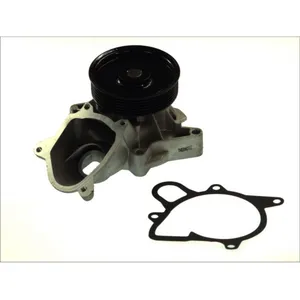 Pompe à eau THERMOTEC D1B031TT pas cher