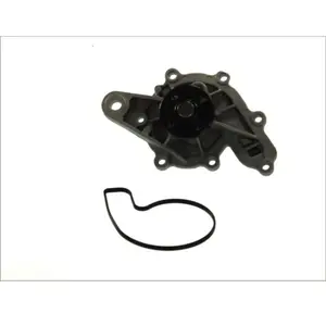 Pompe à eau THERMOTEC D1M043TT pas cher