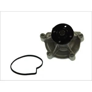 Pompe à eau THERMOTEC D1M045TT pas cher