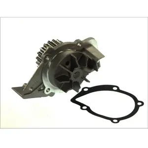 Pompe à eau THERMOTEC D1P045TT pas cher