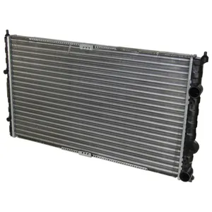 Radiateur, refroidissement moteur THERMOTEC D7W039TT pas cher