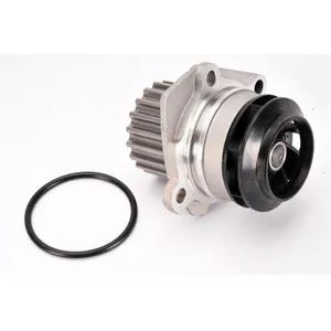Pompe à eau THERMOTEC D1W049TT pas cher