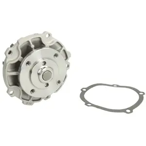 Pompe à eau THERMOTEC D1Y029TT pas cher