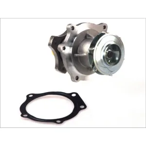 Pompe à eau THERMOTEC D1Y033TT pas cher