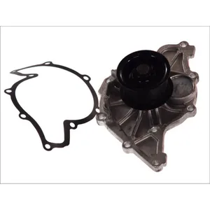 Pompe à eau THERMOTEC D1W047TT pas cher