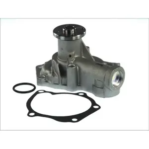 Pompe à eau THERMOTEC D15043TT pas cher