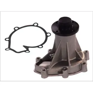 Pompe à eau THERMOTEC D1M016TT pas cher