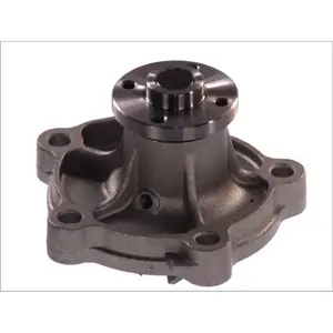 Pompe à eau THERMOTEC D18014TT pas cher