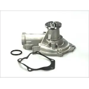Pompe à eau THERMOTEC D15024TT pas cher