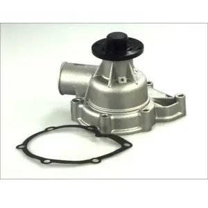 Pompe à eau THERMOTEC D1B010TT pas cher