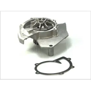 Pompe à eau THERMOTEC D1P017TT pas cher