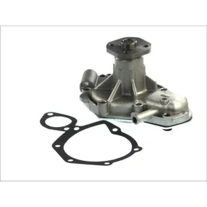 Pompe à eau THERMOTEC D1R027TT pas cher