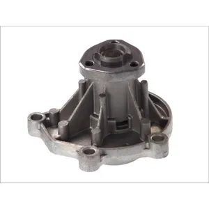 Pompe à eau THERMOTEC D1W046TT pas cher