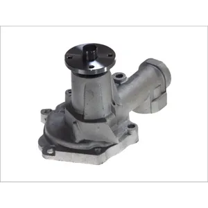 Pompe à eau THERMOTEC D15038TT pas cher