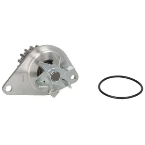 Pompe à eau THERMOTEC D1P043TT pas cher