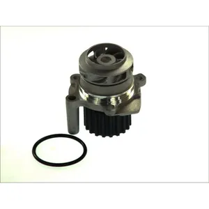 Pompe à eau THERMOTEC D1W048TT pas cher