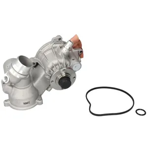 Pompe à eau THERMOTEC D1B036TT pas cher
