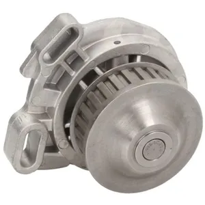 Pompe à eau THERMOTEC D1W005TT pas cher