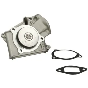 Pompe à eau THERMOTEC D10316TT pas cher