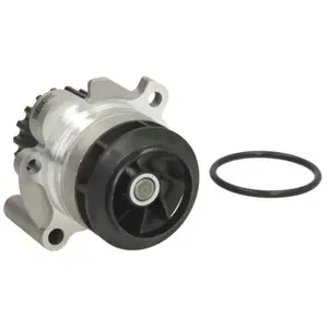 Pompe à eau THERMOTEC D1W054TT pas cher