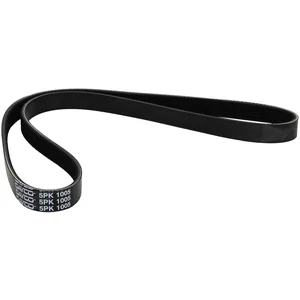 Courroie trapézoïdale à nervures DAYCO 5PK1005 pas cher