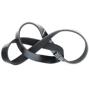 Courroie trapézoïdale à nervures DAYCO 5PK835 pas cher