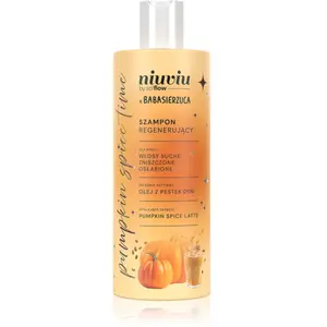 so!flow Pumpkin Time Regenerating Shampoo shampoing régénérant pour ch... pas cher