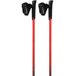 Viking Bâtons Pro-trainerVendu partrekkinn