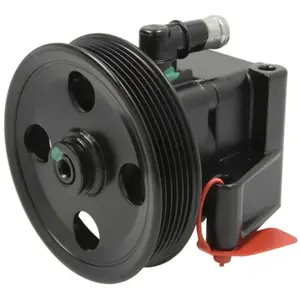 Pompe hydraulique, direction LAUBER 55.4306 pas cher
