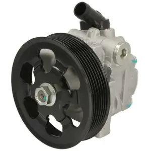 Pompe hydraulique, direction LAUBER 55.6199 pas cher