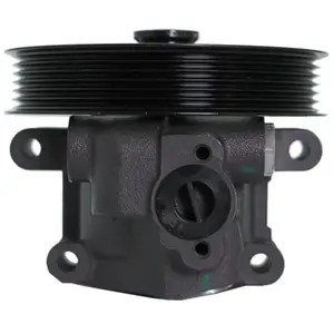 Pompe hydraulique, direction LAUBER 55.1703 pas cher