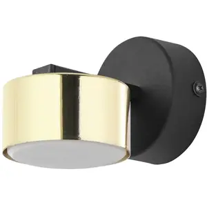 TK Lighting Applique murale Dallas, à 1 lampe, noir-doréVendu parkaufland