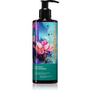 Comparateur de prix : Vianek Prebiotic Repairing après-shampoing à la protéine avec prébiotiques 300 ml