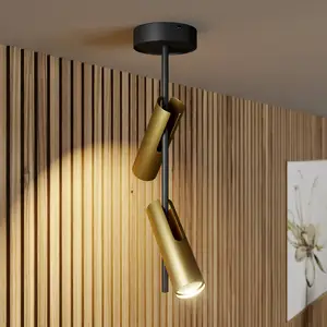 Comparateur de prix : SIGMA Spot pour plafond Leda 2, à 2 lampes, noir-doré