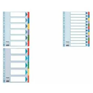 Comparateur de prix : ESSELTE Intercalaire Mylar A4 6 Touches