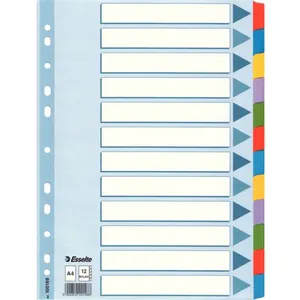 Comparateur de prix : ESSELTE Intercalaire Mylar A4 12 Touches