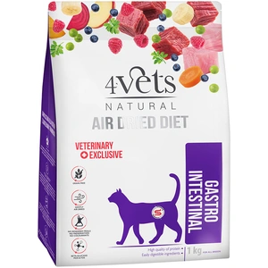 1kg 4Vets Gastro intestinal croquettes pour chats pas cher