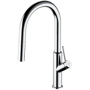 OMNIRES BEND Mitigeur de cuisine, extractible, pivotant, BE6455CR, pas cher