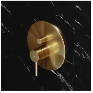 OMNIRES Y Mitigeur monocommande, pour bain & douche, Y1235GLB, pas cher